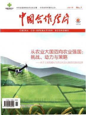 中国合作经济期刊
